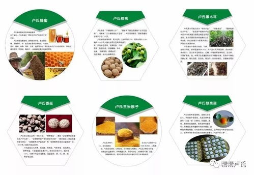 原上盧氏 全力助推精準脫貧，農產品零售煥新生